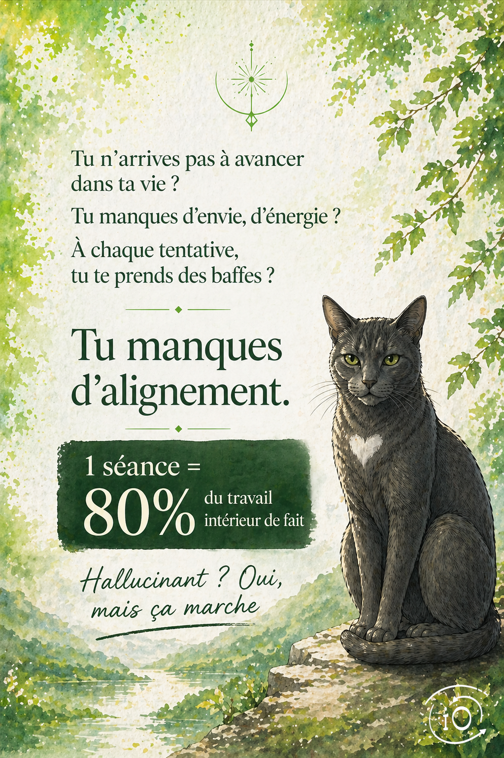 Bannière publicitaire : Tu n’arrives pas à avancer dans ta vie ? Tu manques d’envie, d’énergie ? À chaque tentative, tu te prends des baffes ? Tu manques d’alignement. 1 séance = 80% du travail intérieur de fait. Hallucinant ? Oui, mais ça marche